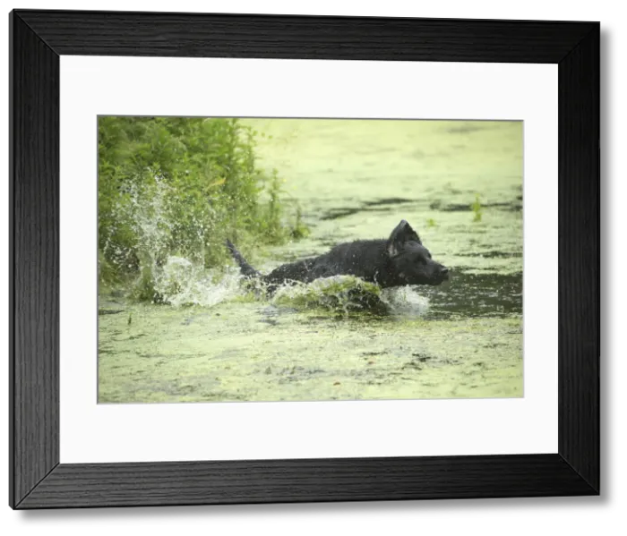 Framed Print : Picture No. 12479782 Framed Print : Picture No. 12479782