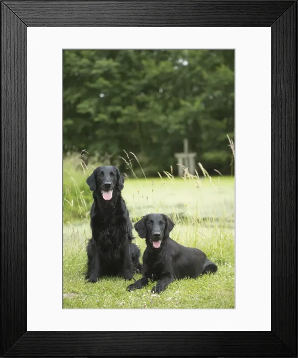 Framed Print : Picture No. 12479799 Framed Print : Picture No. 12479799