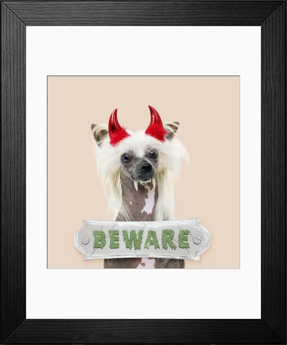 Framed Print : Picture No. 12479921