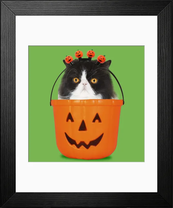 Framed Print : Picture No. 12479922 Framed Print : Picture No. 12479922