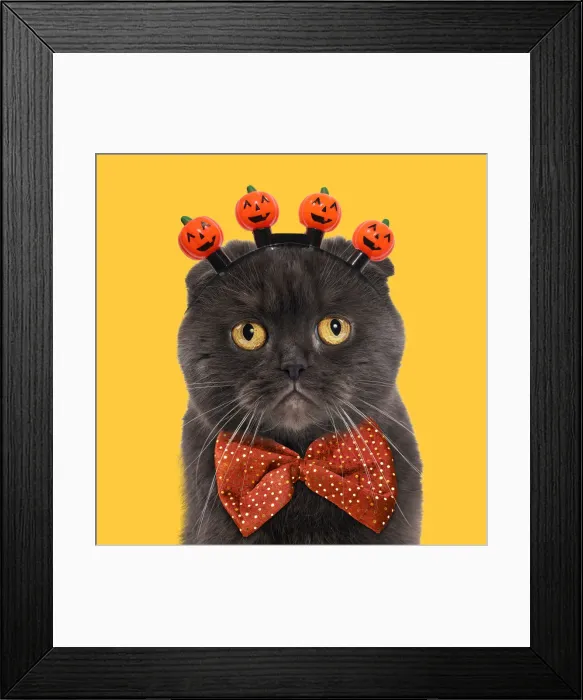 Framed Print : Picture No. 12479923