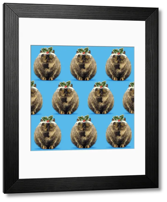Framed Print : Picture No. 12479991 Framed Print : Picture No. 12479991