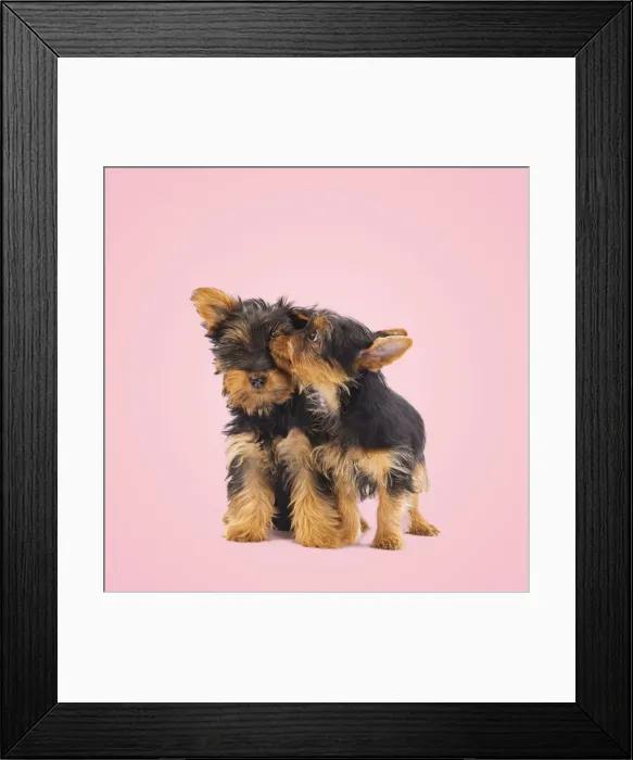 Framed Print : Picture No. 12480196 Framed Print : Picture No. 12480196