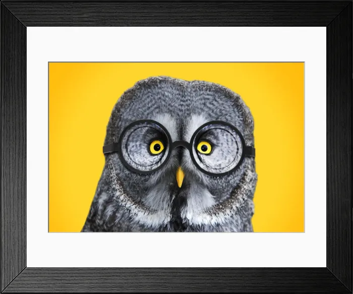 Framed Print : Picture No. 12479949