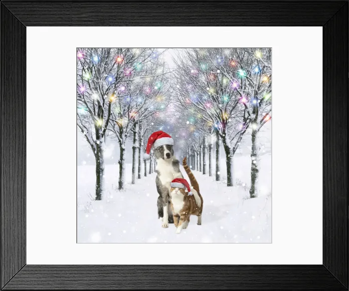 Framed Print : 13131022. Dog and Cat wearing Christmas hats in tree-lined avenue in snow, winter. Date Framed Print : 13131022. Dog and Cat wearing Christmas hats in tree-lined avenue in snow, winter. Date