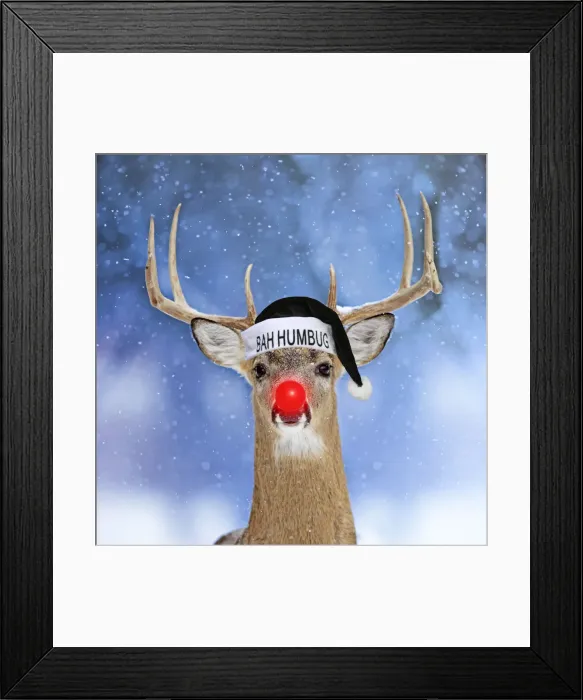 Framed Print : 13131043. Deer, in winter snow with Rudolph red nose, wearing Christmas hat Date
