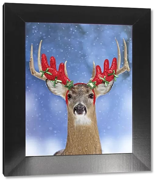 13131047. Deer, in winter snow wearing antler headband Date