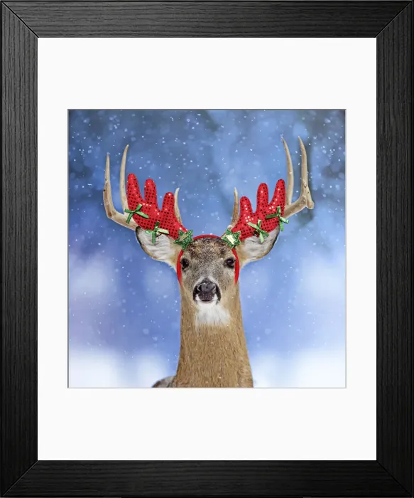 Framed Print : 13131047. Deer, in winter snow wearing antler headband Date Framed Print : 13131047. Deer, in winter snow wearing antler headband Date
