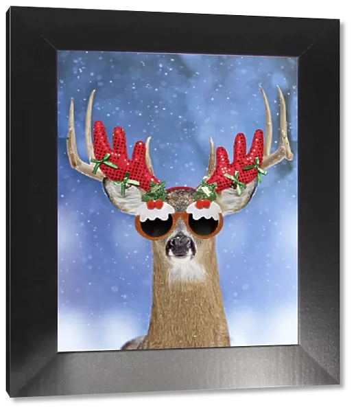 13131048. Deer, in winter snow wearing antler headband and Christmas glasses Date