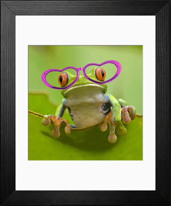 Framed Print : 13131050. Red-eyed Treefrog wearing pink heart-shaped glasses Date