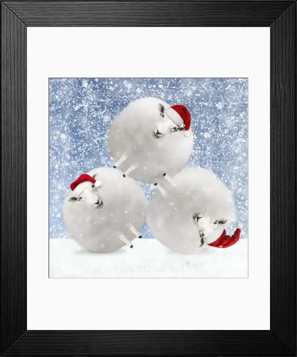 Framed Print : 13131110. Sheep, fluffy white snowballs with Christmas hats in winter snow Date Framed Print : 13131110. Sheep, fluffy white snowballs with Christmas hats in winter snow Date