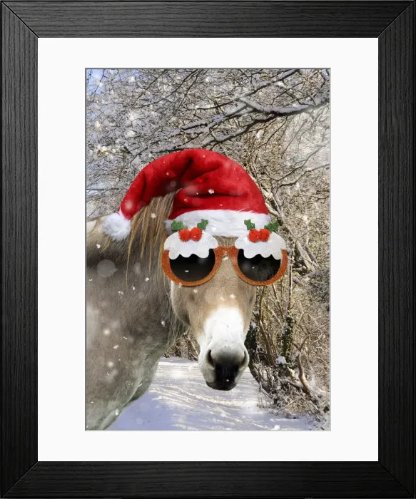 Framed Print : 13131147. Donkey - wearing Christmas hat and glasses in snowy scene Date Framed Print : 13131147. Donkey - wearing Christmas hat and glasses in snowy scene Date