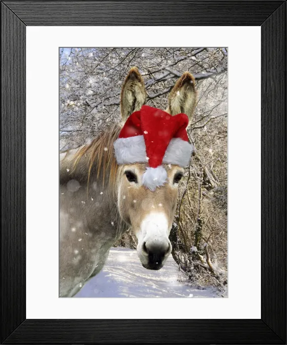 Framed Print : 13131146. Donkey - wearing Christmas hat in snowy scene Date Framed Print : 13131146. Donkey - wearing Christmas hat in snowy scene Date