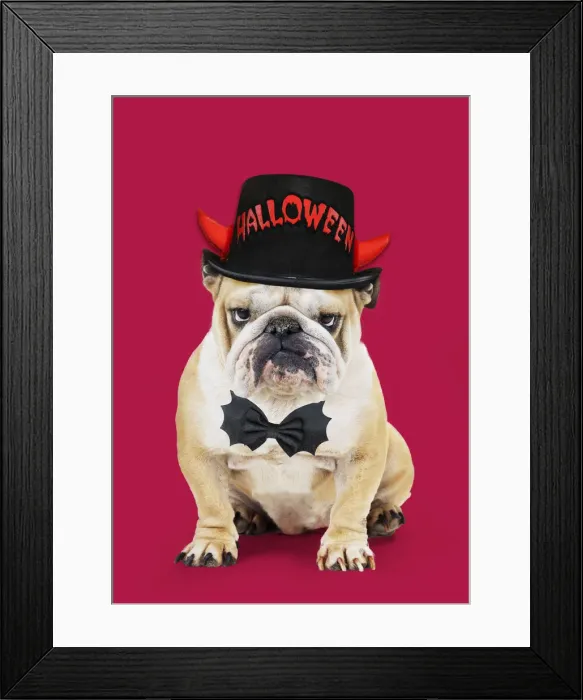 Framed Print : 13131158. Bulldog, wearing Halloween hat and bow tie Date