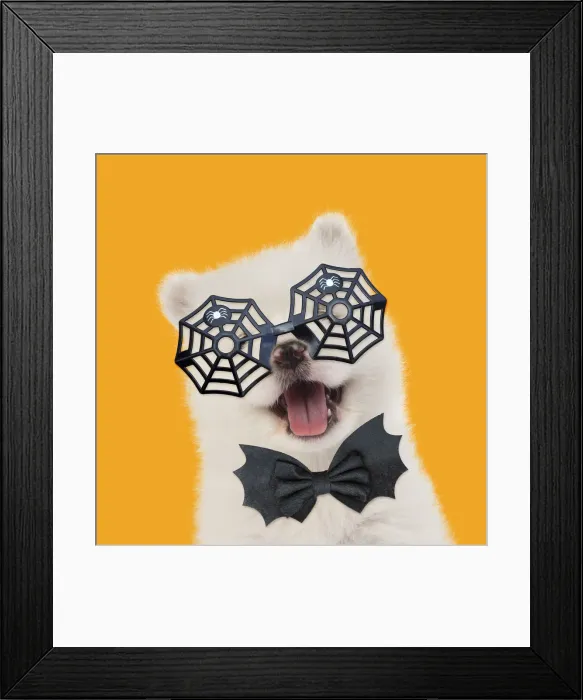 Framed Print : 13131160. Samoyed Dog, puppy 5 weeks old wearing Halloween glasses and bow tie Date Framed Print : 13131160. Samoyed Dog, puppy 5 weeks old wearing Halloween glasses and bow tie Date