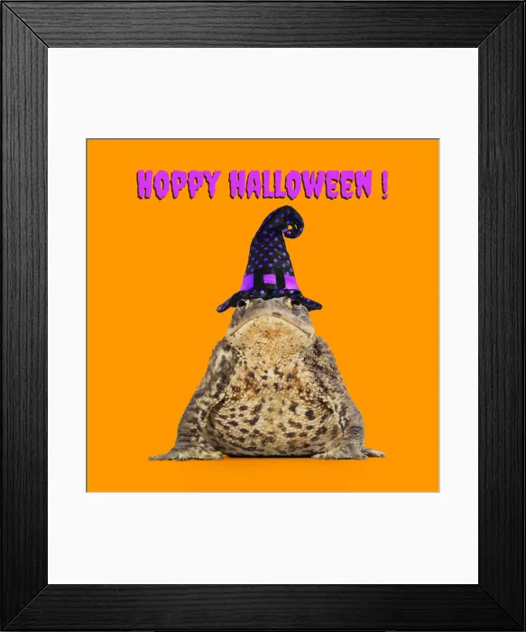 Framed Print : 13131161. Common Toad wearing witches hat Date Framed Print : 13131161. Common Toad wearing witches hat Date