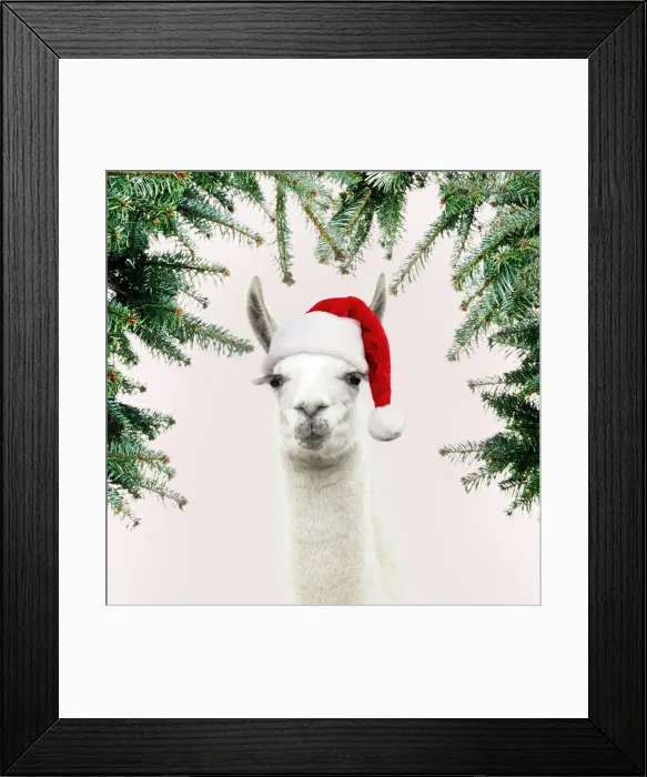 Framed Print : 13131258. Llama with big eye lashes wearing Christmas hat Date Framed Print : 13131258. Llama with big eye lashes wearing Christmas hat Date