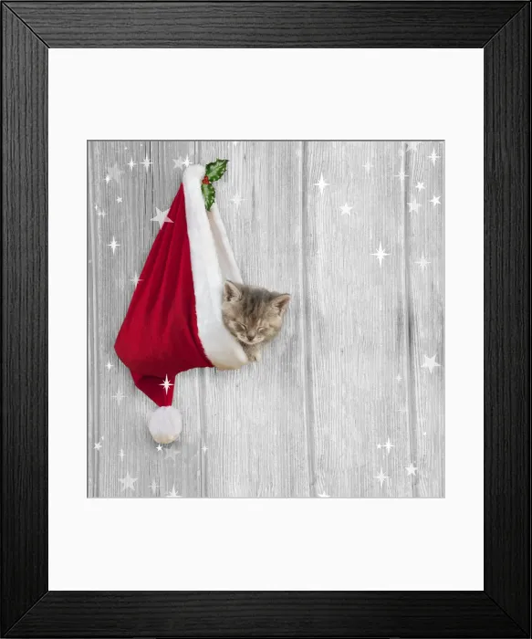 Framed Print : 13131265. CAT - Kitten (6 weeks) asleep in christmas hat Date Framed Print : 13131265. CAT - Kitten (6 weeks) asleep in christmas hat Date