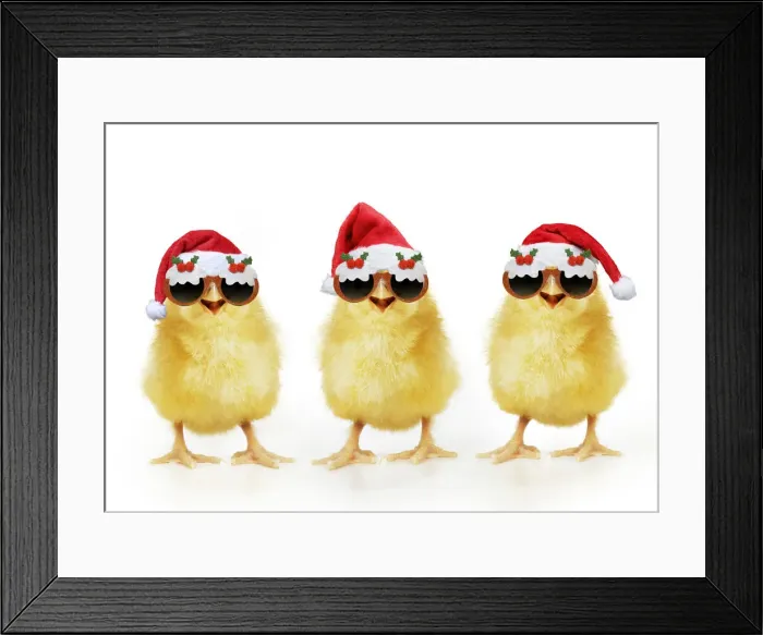 Framed Print : 13131272. Chicken, Chick wearing Christmas hats Framed Print : 13131272. Chicken, Chick wearing Christmas hats