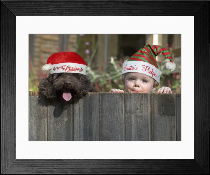 Framed Print : 13131290. DOG. Cockerpoo and little boy looking over a fence Date Framed Print : 13131290. DOG. Cockerpoo and little boy looking over a fence Date
