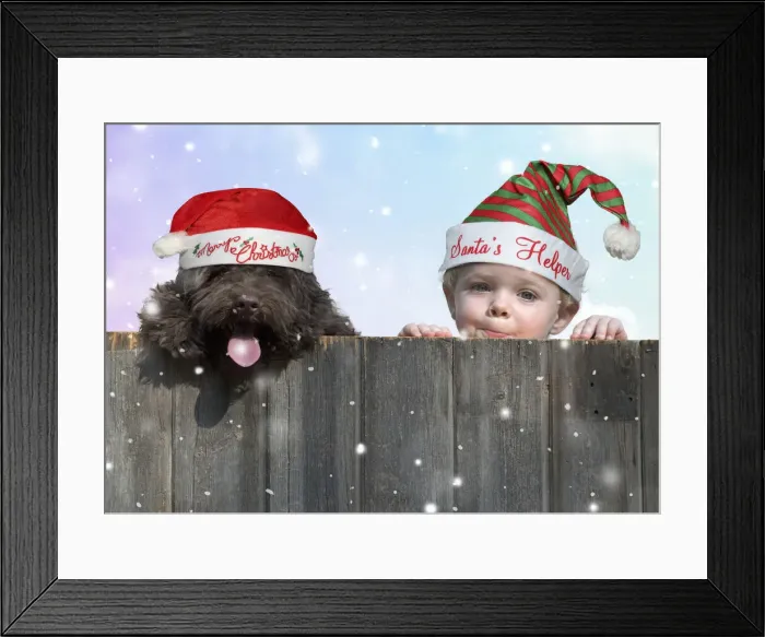 Framed Print : 13131291. DOG. Cockerpoo and little boy looking over a fence Date