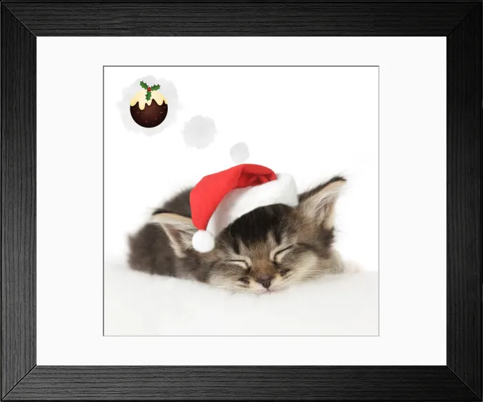 Framed Print : 13131303. Somali Framed Print : 13131303. Somali