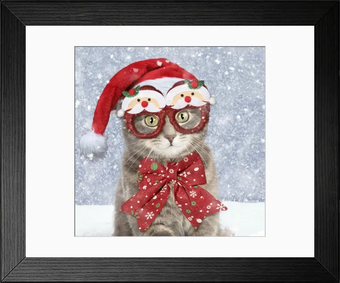 Framed Print : 13131306. Grey Tabby Cat, wearing Christmas hat, glasses and bow in winter snow Date Framed Print : 13131306. Grey Tabby Cat, wearing Christmas hat, glasses and bow in winter snow Date
