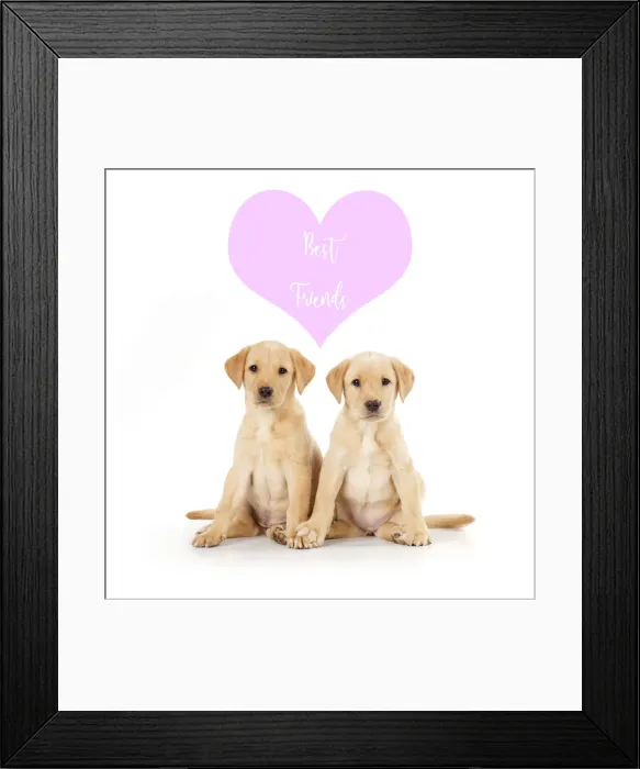 Framed Print : 13131307. Labrador Dog, puppies ( 6 weeks old ) best friends Date Framed Print : 13131307. Labrador Dog, puppies ( 6 weeks old ) best friends Date