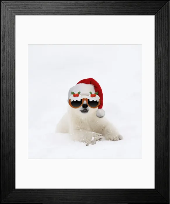 Framed Print : 13131310. Polar Bear, 4 month old cub wearing Christmas hat and glasses in the snow Date Framed Print : 13131310. Polar Bear, 4 month old cub wearing Christmas hat and glasses in the snow Date