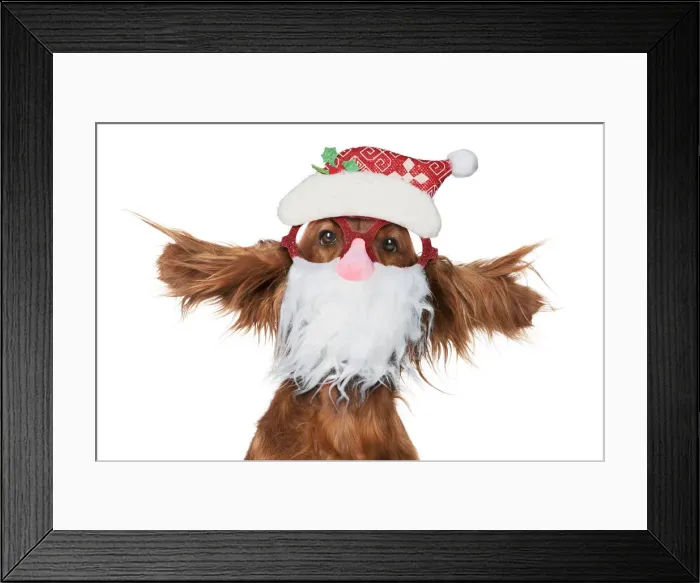 Framed Print : 13131312. Irish Framed Print : 13131312. Irish