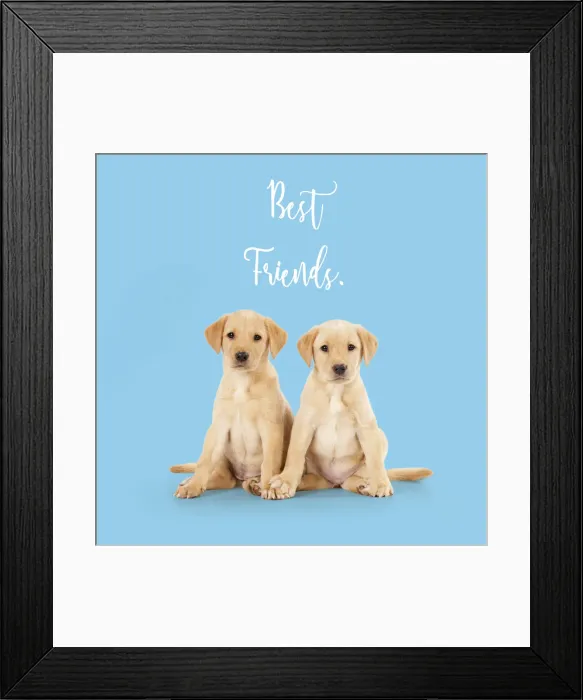 Framed Print : 13131308. Labrador Dog, puppies ( 6 weeks old ) best friends Date Framed Print : 13131308. Labrador Dog, puppies ( 6 weeks old ) best friends Date