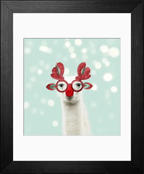 Framed Print : 13131313. Llama with big eye lashes wearing Christmas glasses Date Framed Print : 13131313. Llama with big eye lashes wearing Christmas glasses Date
