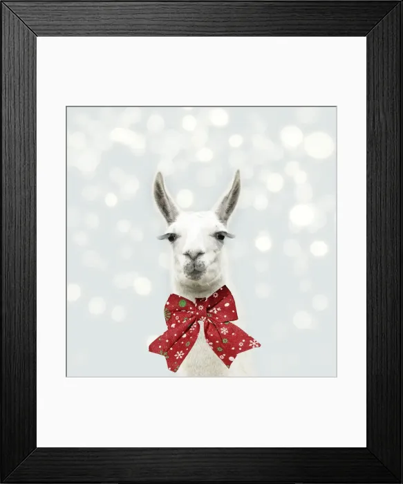 Framed Print : 13131314. Llama with big eye lashes wearing Christmas bow Date Framed Print : 13131314. Llama with big eye lashes wearing Christmas bow Date