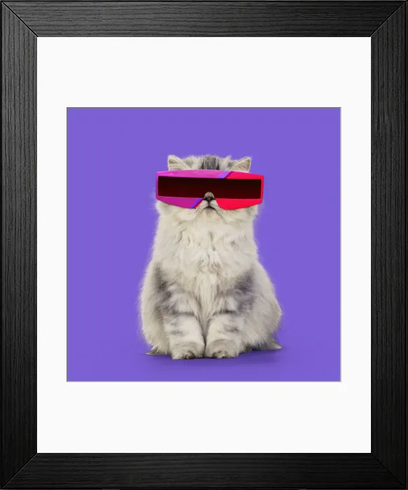 Framed Print : 13131465. Persian Framed Print : 13131465. Persian