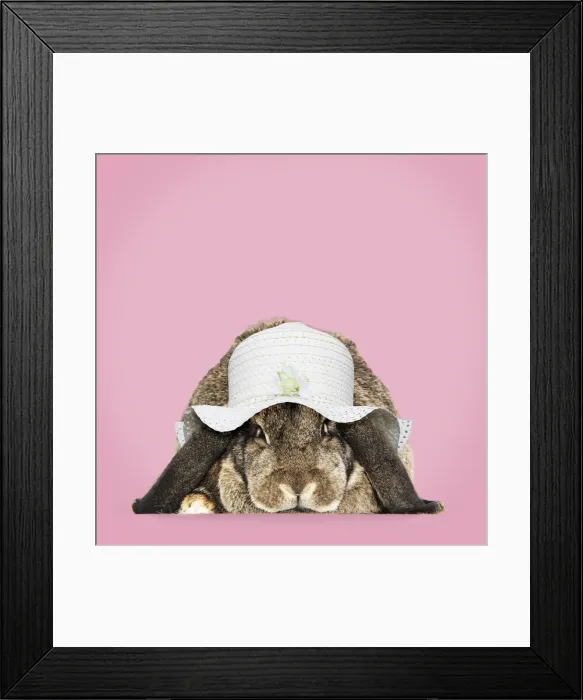 Framed Print : 13131472. Rabbit. French lop ( agouti ) wearing Easter bonnet Date Framed Print : 13131472. Rabbit. French lop ( agouti ) wearing Easter bonnet Date