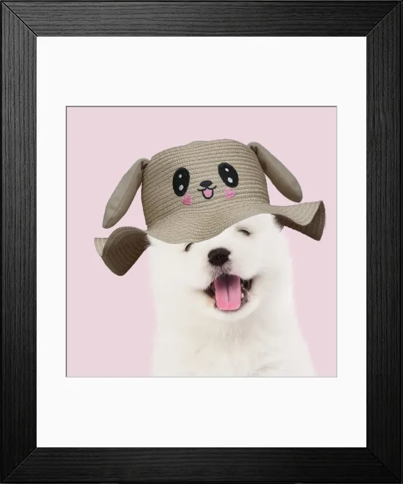 Framed Print : 13131475. DOG - Samoyed puppy 5 weeks old wearing smiling animal hat Date Framed Print : 13131475. DOG - Samoyed puppy 5 weeks old wearing smiling animal hat Date