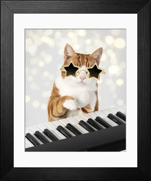 Framed Print : 13131479. Cat star sunglasses on sitting at a piano / keyboard, paws on keys Date Framed Print : 13131479. Cat star sunglasses on sitting at a piano / keyboard, paws on keys Date