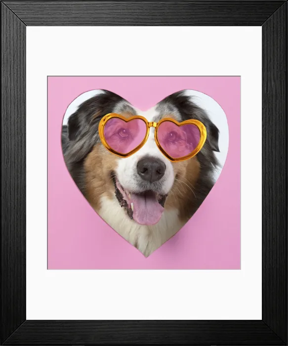 Framed Print : 13131630. DOG. Framed Print : 13131630. DOG.