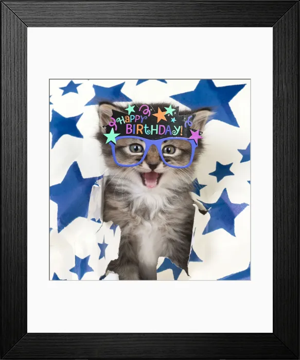 Framed Print : 13131639. CAT Framed Print : 13131639. CAT