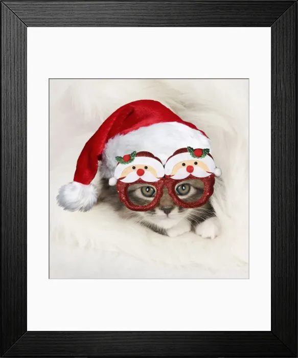 Framed Print : 13131642. CAT - Somali x tabby kitten wearing Christmas hat and glasses Date Framed Print : 13131642. CAT - Somali x tabby kitten wearing Christmas hat and glasses Date