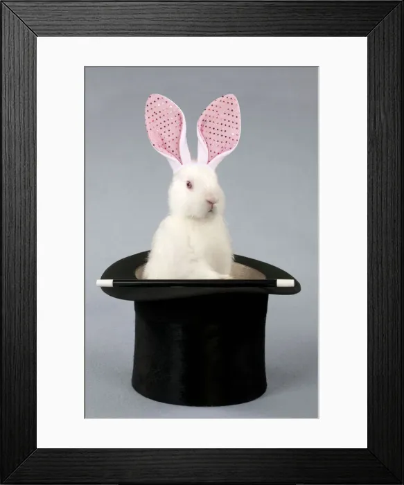 Framed Print : 13131645. RABBIT - Mini ivory satin in top hat with fake bunny ears Date Framed Print : 13131645. RABBIT - Mini ivory satin in top hat with fake bunny ears Date