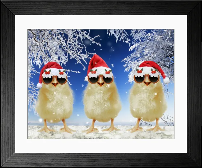 Framed Print : 13131707. Three chicks perched on fence wearing Christmas hats in snow Date Framed Print : 13131707. Three chicks perched on fence wearing Christmas hats in snow Date