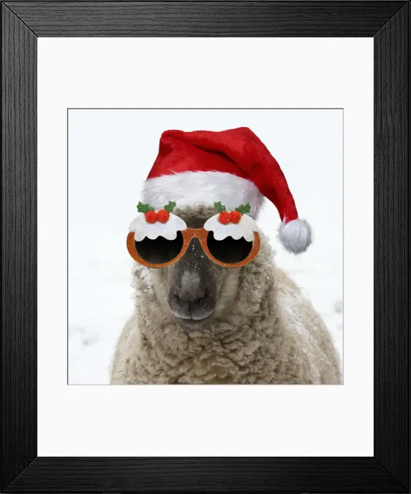 Framed Print : 13131714. SHEEP - Shropshire cross standing in snow wearing Christmas hat and glasses Date Framed Print : 13131714. SHEEP - Shropshire cross standing in snow wearing Christmas hat and glasses Date