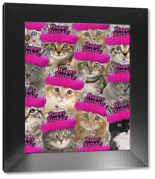 13131719. Montage of cats wearing pink Happy Birthday tiaras Date