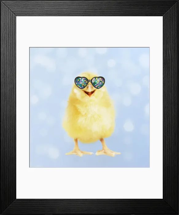 Framed Print : 13131721. Yellow chick wearing heart shaped sunglasses Date Framed Print : 13131721. Yellow chick wearing heart shaped sunglasses Date