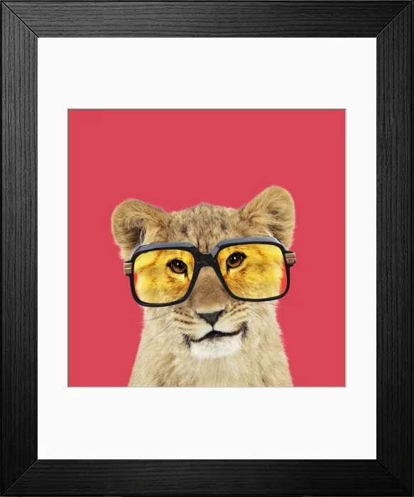 Framed Print : 13131724. Lion cubs (approx 16 weeks old) wearing glasses Date Framed Print : 13131724. Lion cubs (approx 16 weeks old) wearing glasses Date