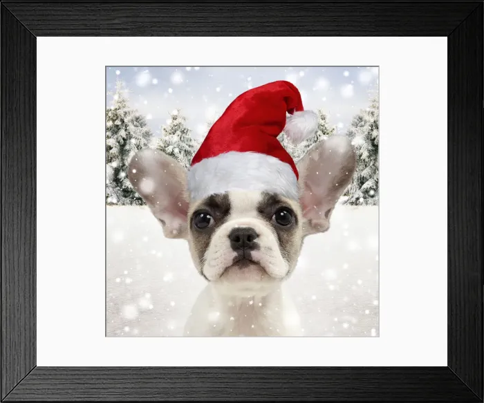 Framed Print : 13132450. French Framed Print : 13132450. French