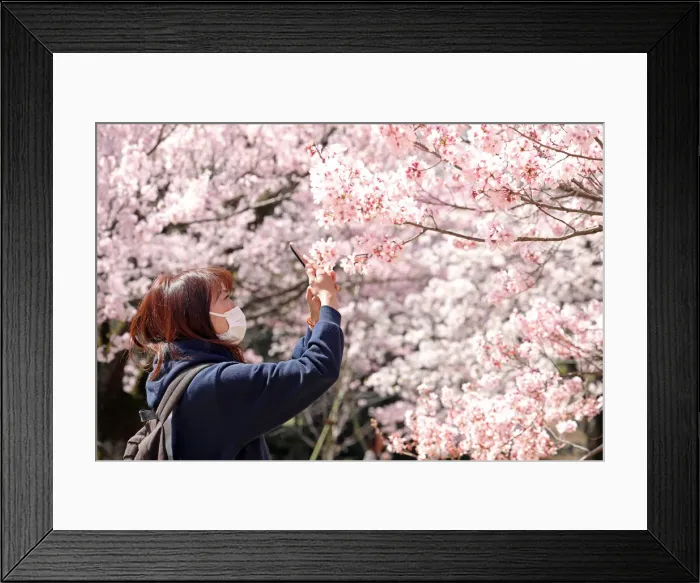 Framed Print : 13132518. Fear of the Coronavirus didnt stop the Japanese taking part in Framed Print : 13132518. Fear of the Coronavirus didnt stop the Japanese taking part in