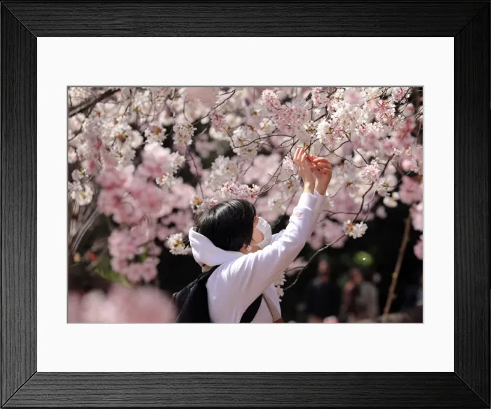 Framed Print : 13132519. Fear of the Coronavirus didnt stop the Japanese taking part in Framed Print : 13132519. Fear of the Coronavirus didnt stop the Japanese taking part in
