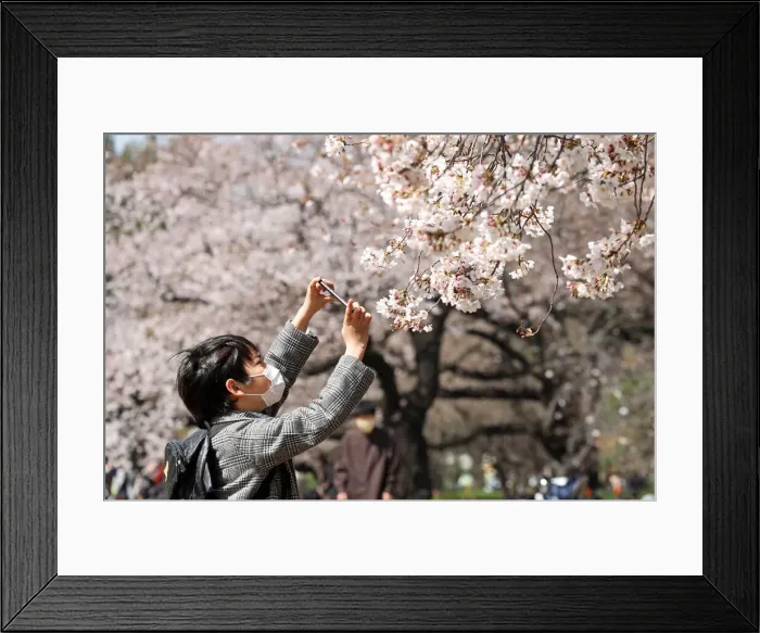 Framed Print : 13132522. Fear of the Coronavirus didnt stop the Japanese taking part in Framed Print : 13132522. Fear of the Coronavirus didnt stop the Japanese taking part in